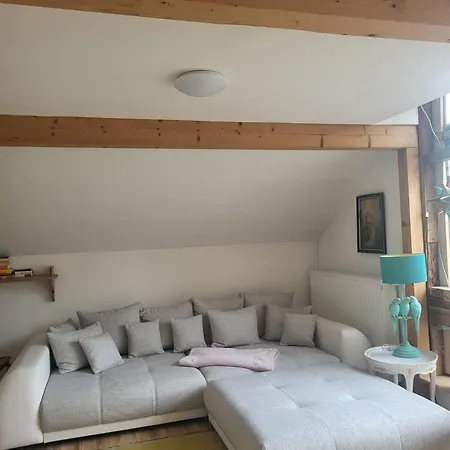 Grosszuegiges Studio-Apartment Siegblick 70Qm Mit Xxl Balkon Mittelhof Exterior foto