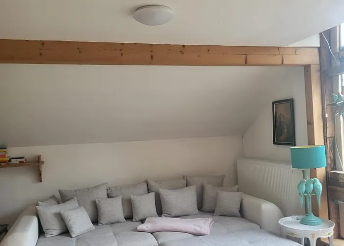 Grosszuegiges Studio-Apartment Siegblick 70Qm Mit Xxl Balkon