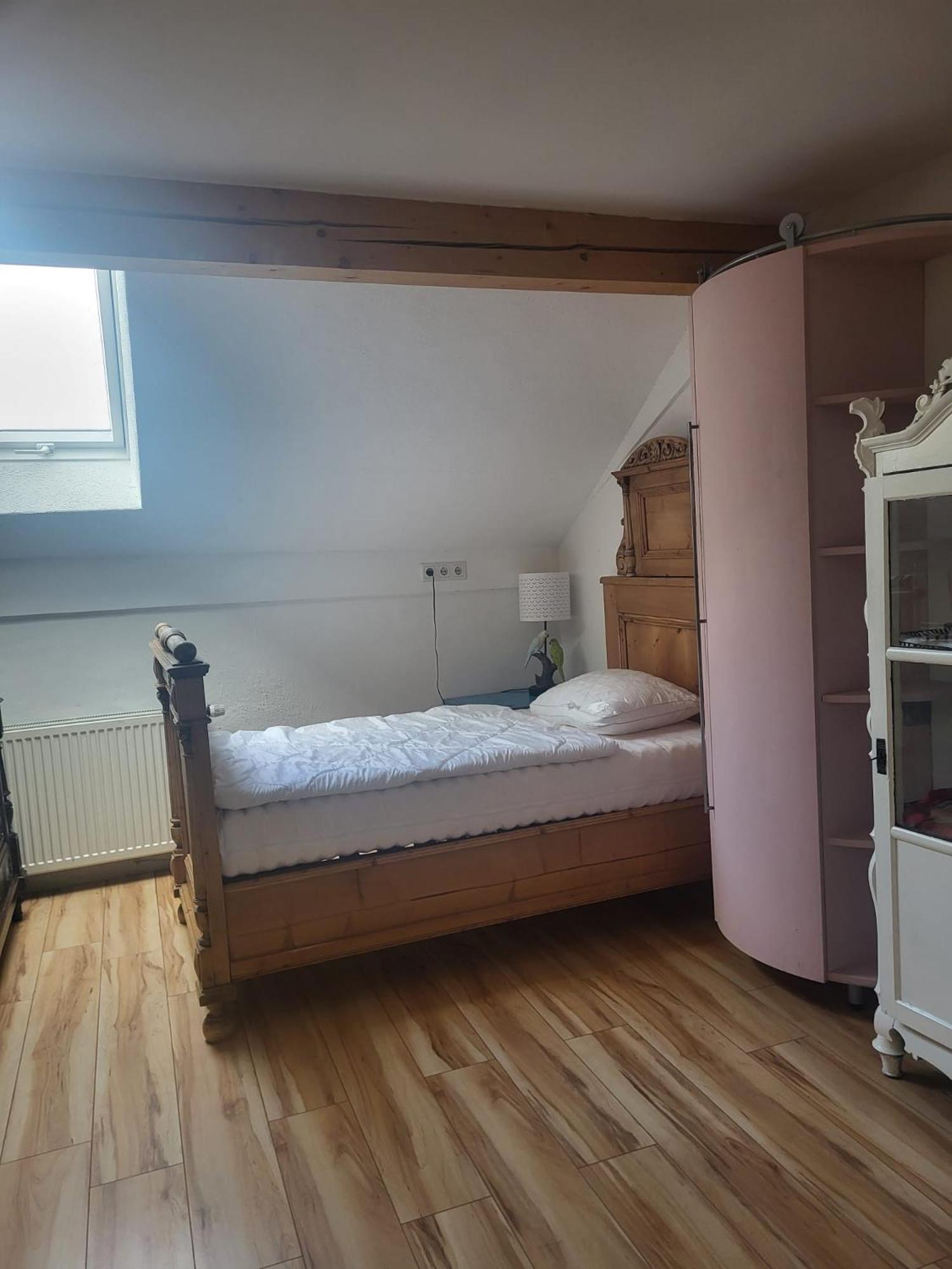 Grosszuegiges Studio-apartment Siegblick 70qm Mit Xxl Balkon