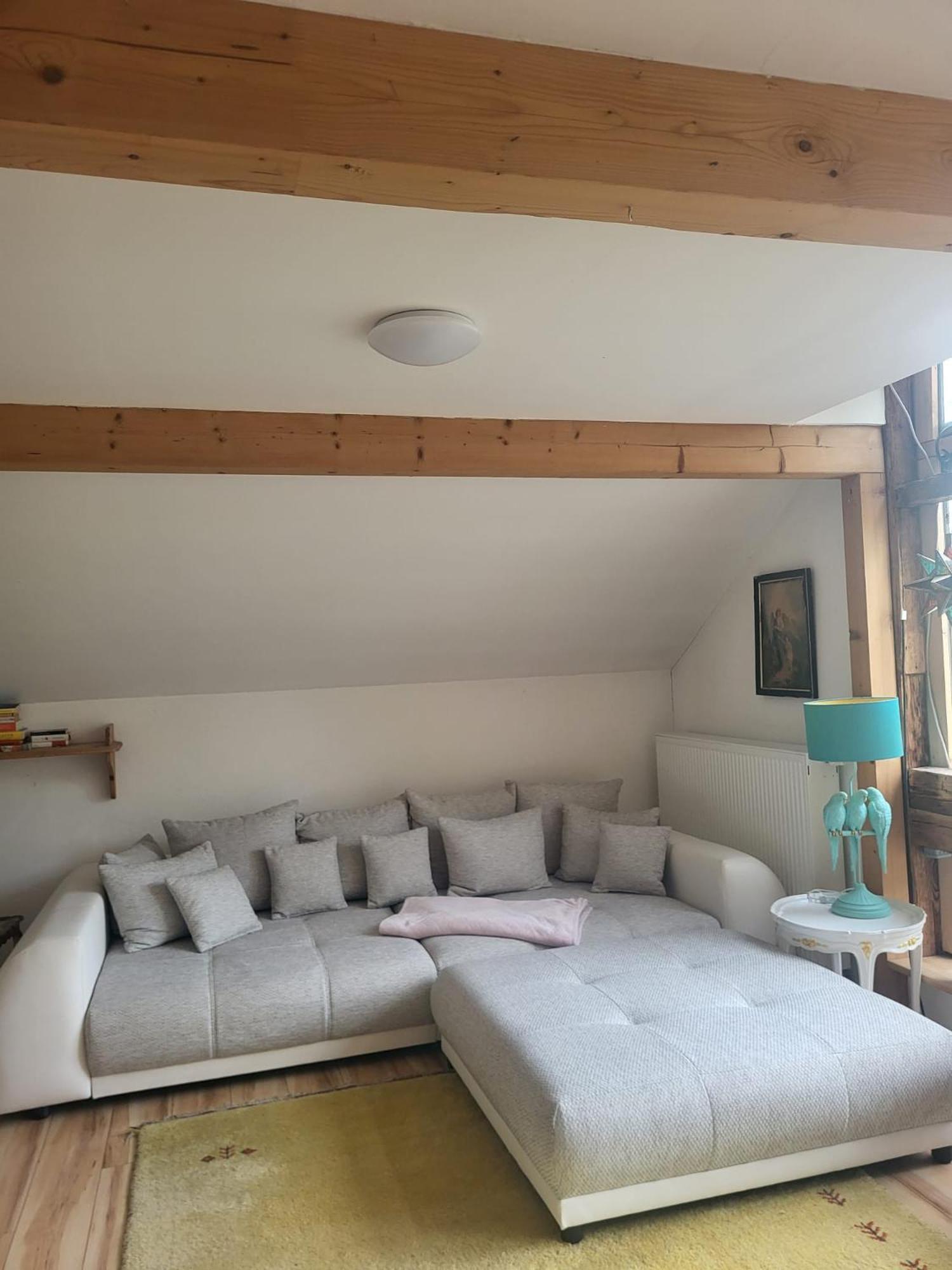 Grosszuegiges Studio-apartment Siegblick 70qm Mit Xxl Balkon Apartment Mittelhof