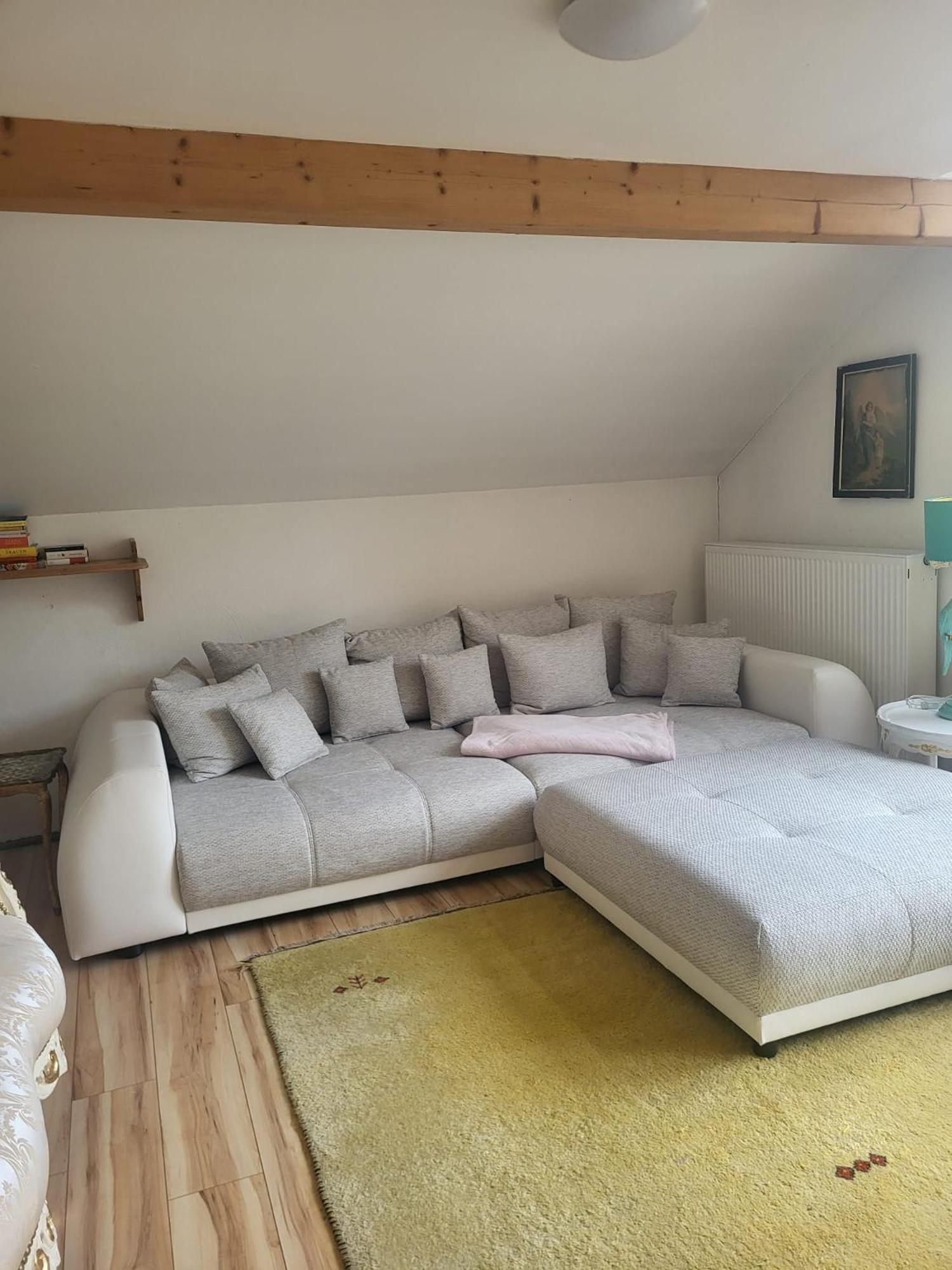 Grosszuegiges Studio-apartment Siegblick 70qm Mit Xxl Balkon * Mittelhof